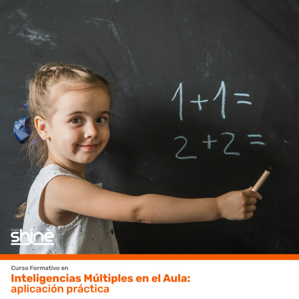 Inteligencias Múltiples en el Aula