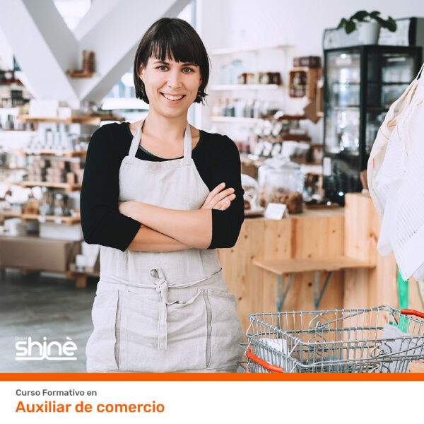 Auxiliar de comercio